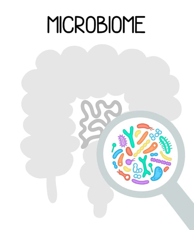 probiotici e microbiota